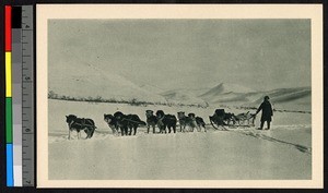 Missionary with dog sled on snow-covered plain, Alaska, ca.1920-1940