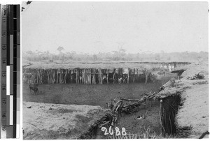 A cowshed, Unyamwezi, Tanzania, ca.1905-1906