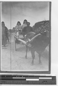 Maryknoll Sisters travel to the mission at Yangjiang, China, 1924