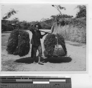 A woman carrying grass for fuel at Gaozhou, China, 1938