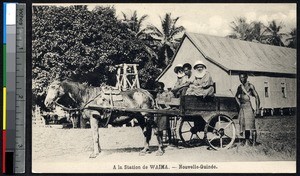 Missionary sisters ride in a horse-drawn cart, Papua New Guinea, ca.1900-1930