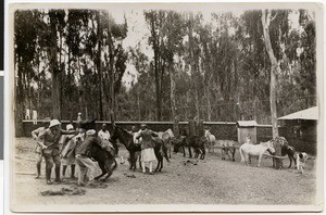 Preparations to go haymaking, Addis Abeba, Ethiopia, 1928