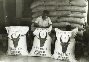 Coffee bags, in Cameroon