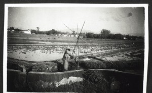 Hour after hour they scoop up water with this kind of wooden scoop, till the field has been properly watered - i.e. till one can see no soil more. What a job!