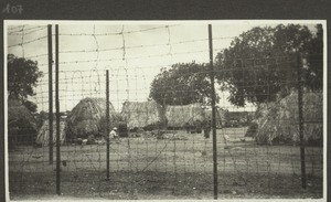 Criminals' camp in Betgeri. The fence