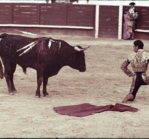 La Corrida - Un despiante Antonion Borreno (Chamaco)