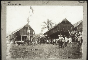 Funeral. The sacrifical buffalo is tied to the sacrificial stake. Then he is chased around the circle, and stabbed