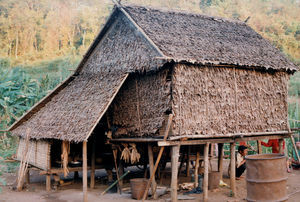 Slash and burn. Typically easy moveable house built from bamboo and leafs from sugar palms