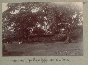 Machame, in Unga’s homestead before the beer, Tanzania