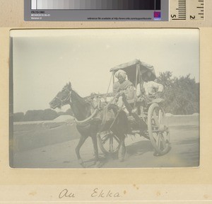 Horse drawn carriage, Sialkot, Pakistan, ca.1890