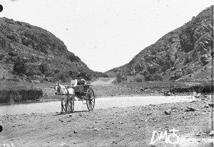 Cart on the road to Wonderboom, Pretoria, South Africa, ca. 1896-1911