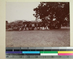 Outdoor gathering under a tree in Malaimbandy, Madagascar, 1901