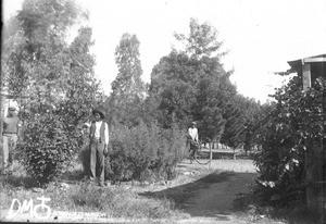 African men in the garden of the mission station, Pretoria, South Africa, ca. 1896-1911