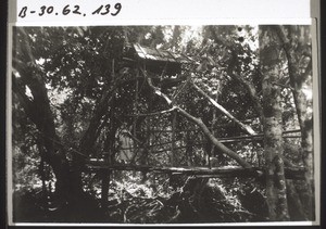 Hängebrücke im Urwald b. Kotawaringin (Miss. Walter 1933) Lichtb. Cl. Jahr.bericht 1933