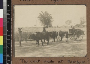 Cart and oxen, Kambole Mission, Zambia, ca. 1925