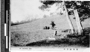 Mt. Wakakusa, Nara, Japan, ca. 1920-1940