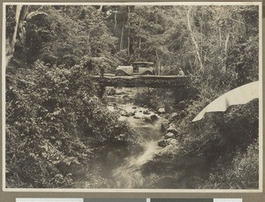 Over the Ruguti River, Eastern Province, Kenya, ca.1929