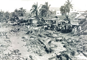 Natural disaster of the Philippines, 1991