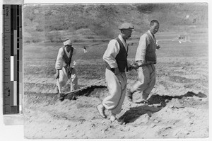 Three men plowing a field, Kosai, Korea, May 1940