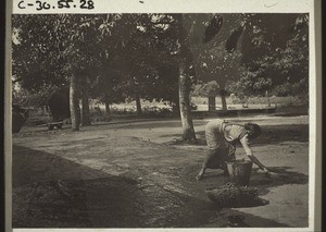 Cleaning the yard of the mission house in Udapi using cow-dung