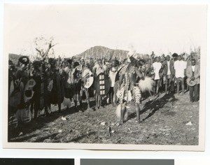 Zulu king in the circle of sub chiefs, Ehlanzeni, South Africa