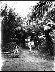 A village in Krobo