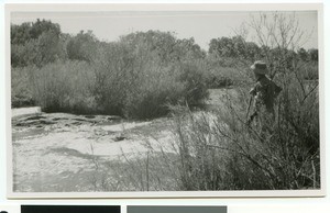 Big game hunter at Bersaba river, South Africa