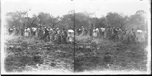 Agricultural work, Kouroulene, South Africa