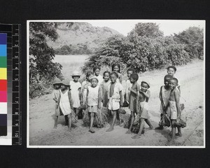 Rice planting, Madagascar, 1957