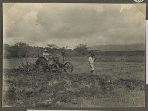 Plowing in Makumira, Makumira, Tanzania, ca.1929-1940