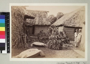 Food presents for Chief's wedding, Fiji, ca. 1890