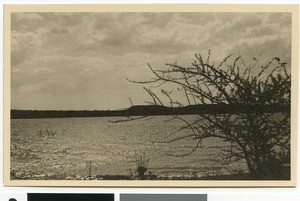 Marico-Bosveld Dam, South Africa