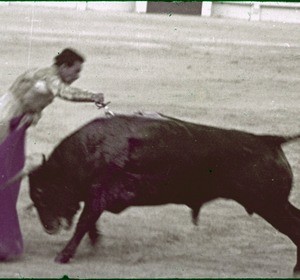 The bullfighter - Estocada