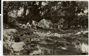 Rest at the riverbank, 1929