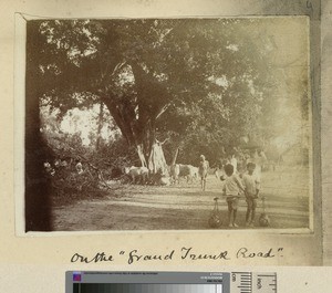 Grand Trunk Road, Hugli-Chuchura, India, ca.1918