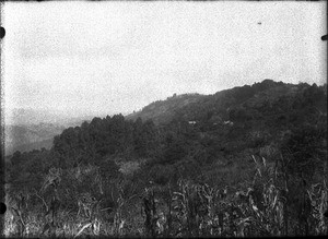 View of Lemana Training Institution and its surroundings, Lemana, Limpopo, South Africa, 1906