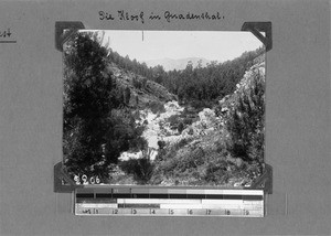 Creek in a ravine, Genadendal, South Africa