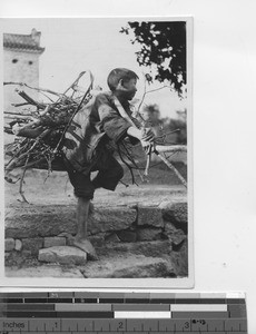 A boy carrying wood to his home at Pet Tou Tsai, China, 1931