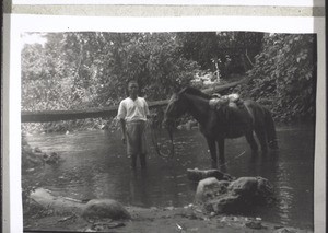 A bridge between Mnambong and Ngomboku (an attendant is standing in the river with the missionary Keller's horse) 1935