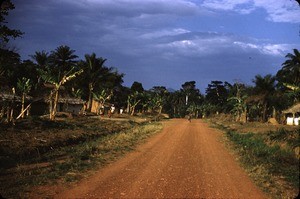 Road in Bankim, Adamaoua, Cameroon, 1953-1968