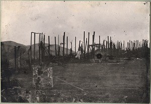 Baboni, after the fire