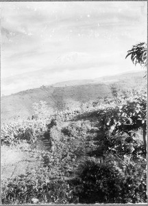 Mount Kibo, Moshi, Tanzania, ca. 1901-1910