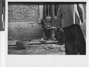 Gathering rice at Wuzhou, China, 1950