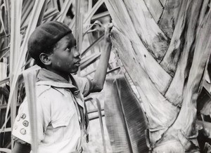 A boy scout in the forest of Ravinala, on the east coast of Madagascar