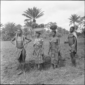 Africans back from the fields