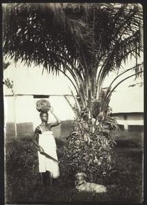 Boy with a bunch of palm-nuts