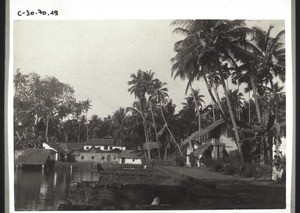 A pond used for washing in Malabar. India