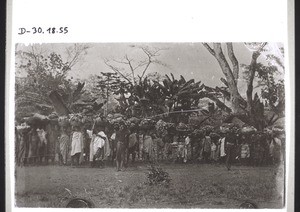 Carrying fruit to Kumase under the protection of government troops