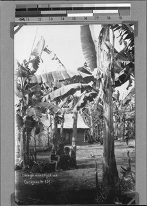 Hut of the Nyakyusa ethnic group, Nyasa, Tanzania