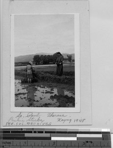 A Maryknoll Sister viewing the rice crops at Meixien, China, 1948